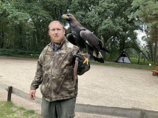 Falkner David Schoenbroich mit Steinadler